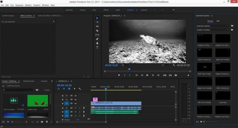 ADOBE PREMIERE PRO 1.8