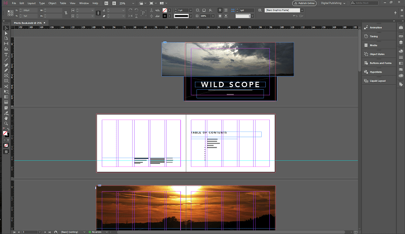 Adobe InDesign 3
