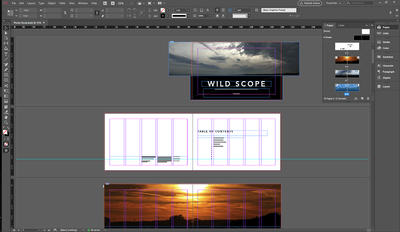 Adobe InDesign 5