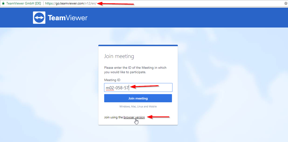TeamViewer Meeting tab 4
