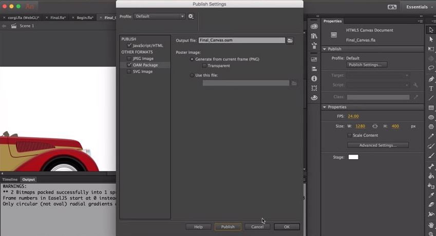 Adobe Animate CC export fomat