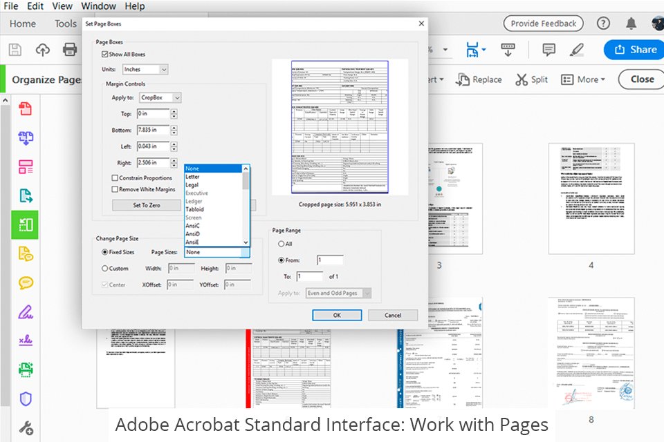 Adobe Acrobat Standard Vs Pro 3
